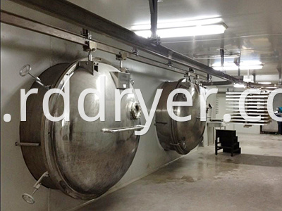 Industrial production of stainless steel strawberry freeze drying processing machine